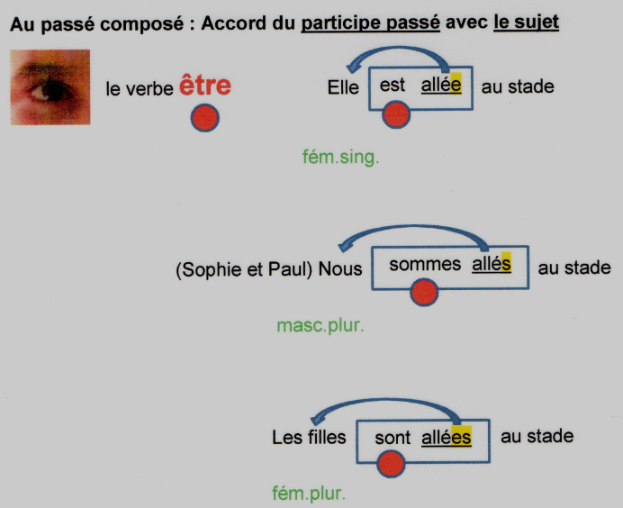 Weiblich, männlich, Plural...